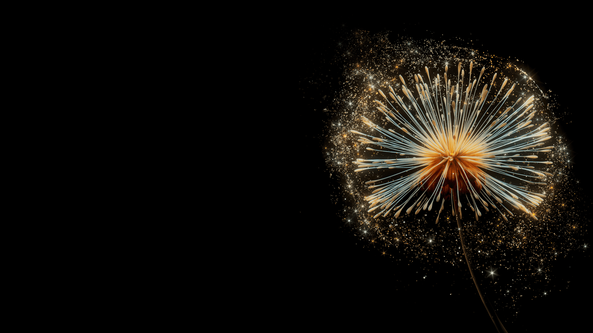 Advertisement background